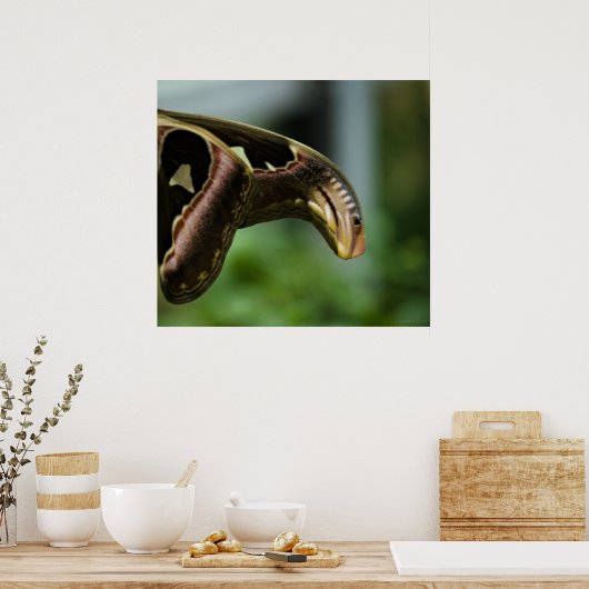 Afdrukken van atlas poster (Keuken)