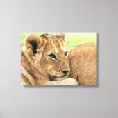 Afdrukken van baby tijgercanvas (Voorkant)