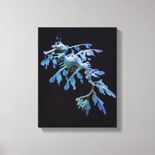 Afdrukken van bladdoek Zee dragon Wrapped Canvas