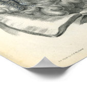 Afdrukken van buikorganen Anatomie Afdrukken Poster (Hoek)