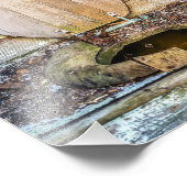 Afdrukken van buitenste fotografie uit bestelling foto afdruk (Hoek)