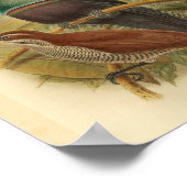  afdrukken van de nieuwe Guinee Blue Rifle Bird Poster (Hoek)