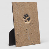 Afdrukken van dierlijke pootaardappelen in zand fotoplaat (Zijkant)