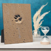 Afdrukken van dierlijke pootaardappelen in zand fotoplaat (Zijkant)