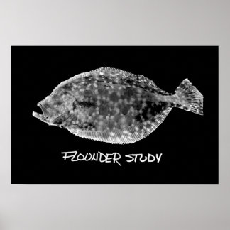 Afdrukken van Flounder Study "ZEER POPULAR" Poster