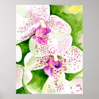 Afdrukken van Fuschia Orchid Canvas Poster