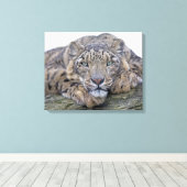 Afdrukken van groen-oyed Gaze Wrapped Canvas (Insitu (Houten vloer))