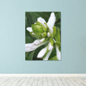 Afdrukken van hosta Blooming Canvas (Insitu (Houten vloer))
