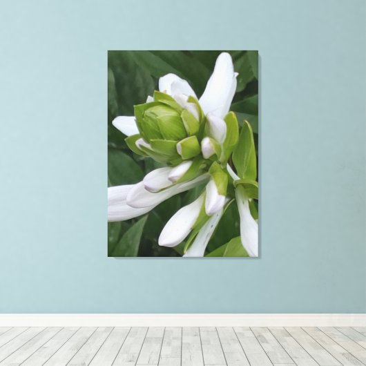 Afdrukken van hosta Blooming Canvas (Insitu (Houten vloer))
