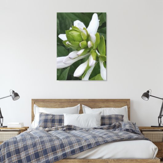 Afdrukken van hosta Blooming Canvas (Insitu (Slaapkamer))