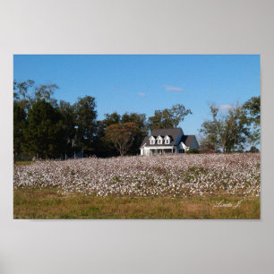 Afdrukken van House en Cotton Field Poster