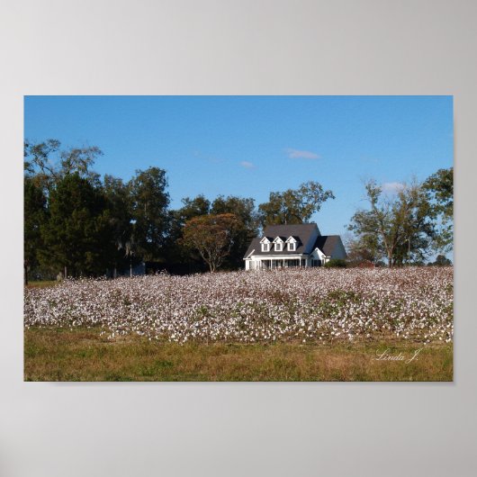 Afdrukken van House en Cotton Field Poster (Voorkant)