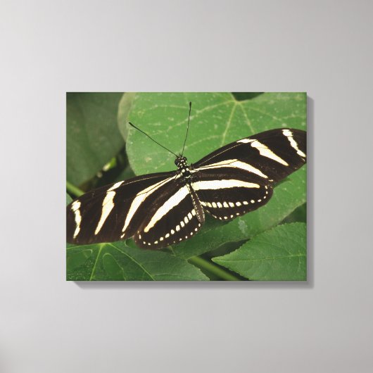 Afdrukken van langwerpige Butterfly-canvas (Voorkant)