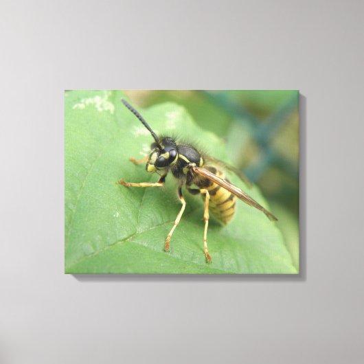 Afdrukken van Macro Canvas met overvliegen (Voorkant)