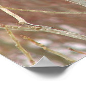 Afdrukken van mannelijk kardinaal canvas poster (Hoek)