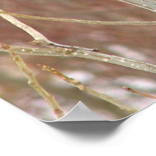 Afdrukken van mannelijk kardinaal canvas poster (Hoek)