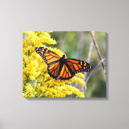 Afdrukken van monoarch Butterfly Canvas
