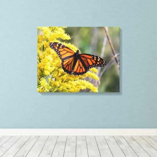 Afdrukken van monoarch Butterfly Canvas (Insitu (Houten vloer))