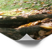 Afdrukken van notitiewegplaatsing poster (Hoek)