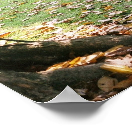 Afdrukken van notitiewegplaatsing poster (Hoek)