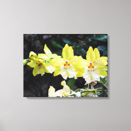 Afdrukken van orchid Trio Wrapped Canvas