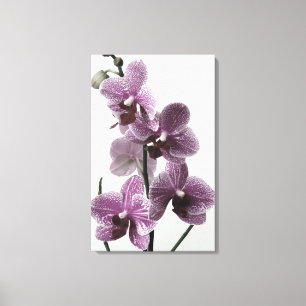 Afdrukken van orchidee Canvas