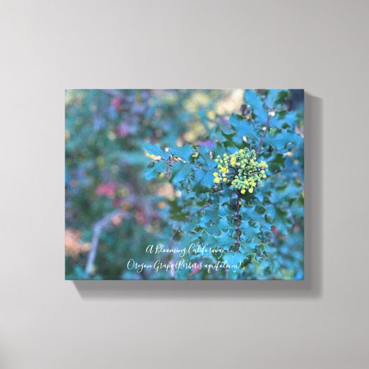 Afdrukken van Oregon Grape Canvas (Voorkant)