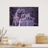 Afdrukken van "Owl Family" Poster (Keuken)