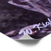 Afdrukken van "Owl Family" Poster (Hoek)