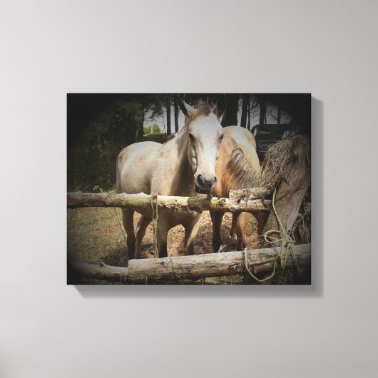 Afdrukken van Paard 1 verdraaid Canvas (Voorkant)
