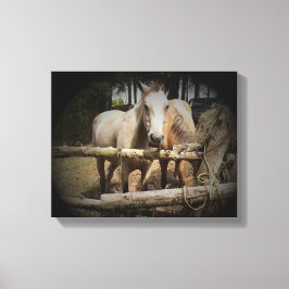 Afdrukken van Paard 1 verdraaid Canvas