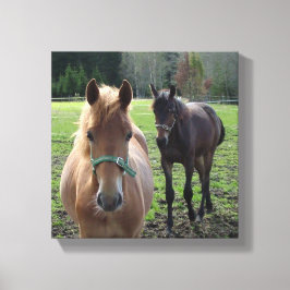 Afdrukken van paardencanvas