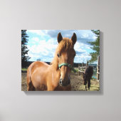 Afdrukken van paardencanvas (Voorkant)