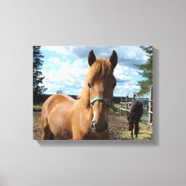 Afdrukken van paardencanvas