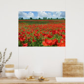 Afdrukken van papavervelden poster (Keuken)