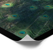 Afdrukken van "Peacock"-Canvas Poster (Hoek)