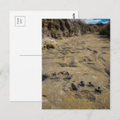 afdrukken van plakken briefkaart (Voorkant / Achterkant)