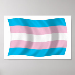 Afdrukken van Poster met driesporenpride vlag