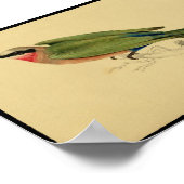 afdrukken van Poster van vogels (Hoek)