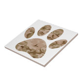 Afdrukken van speciale woestijn-camo dog pow tegeltje (Zijkant)