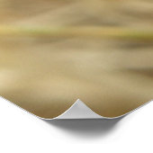 Afdrukken van spin en eieren poster (Hoek)