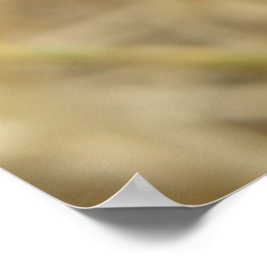 Afdrukken van spin en eieren poster (Hoek)