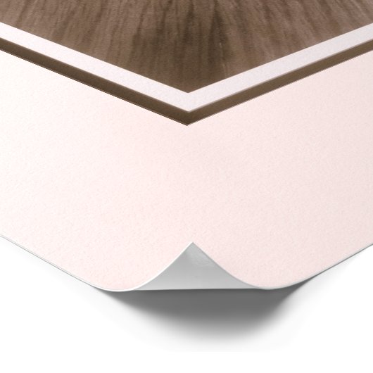 Afdrukken van 'tenen'-panelen (Roos) Poster (Hoek)