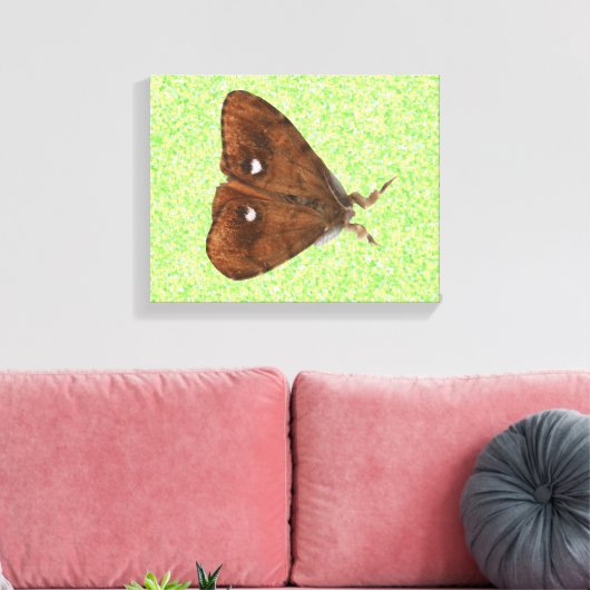 Afdrukken van Vapourer Moth Canvas (Insitu (Woonkamer))