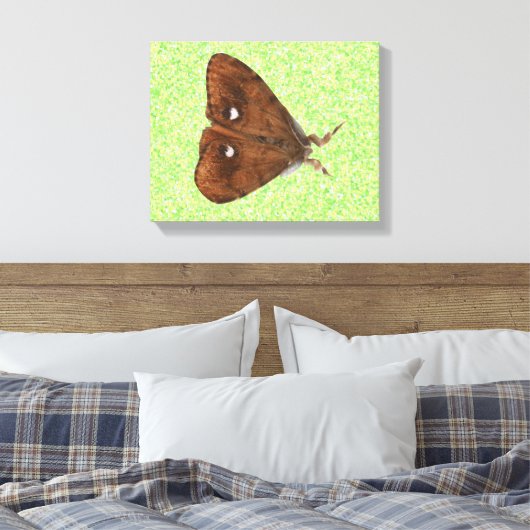 Afdrukken van Vapourer Moth Canvas (Insitu (Slaapkamer))