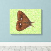 Afdrukken van Vapourer Moth Canvas (Insitu (Houten vloer))