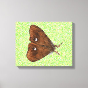 Afdrukken van Vapourer Moth Canvas