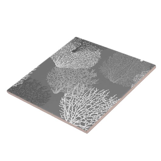 Afdrukken van ventilatorkoraal, schaduwen van zilv tegeltje (Zijkant)