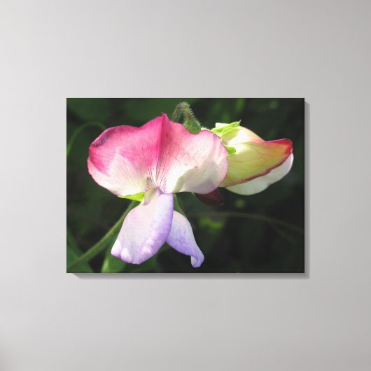 Afdrukken van verrekend Canvas (Voorkant)