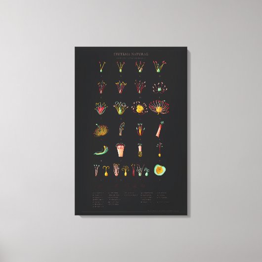 Afdrukken van verrekend Canvas (Voorkant)